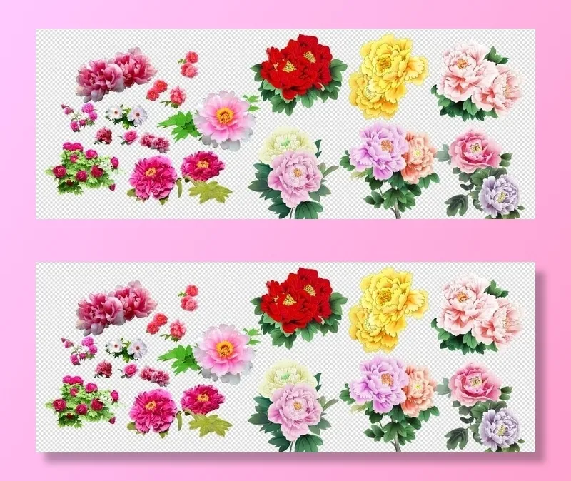 牡丹花素材免扣元素图片(11491x4712)psd模版下载