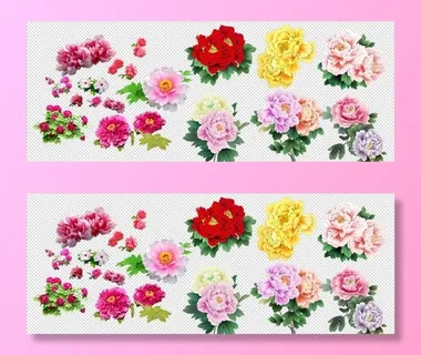 牡丹花素材免扣元素图片