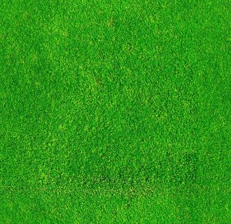 无缝草坪图片