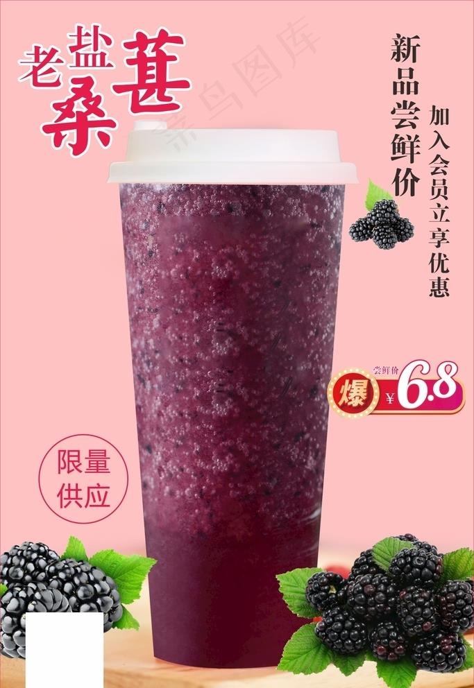 老盐桑葚图片cdr矢量模版下载