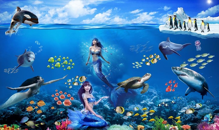 美人鱼海洋馆图片