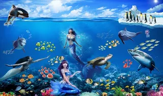 美人鱼海洋馆图片