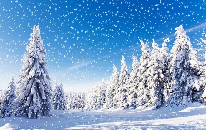 雪景图片