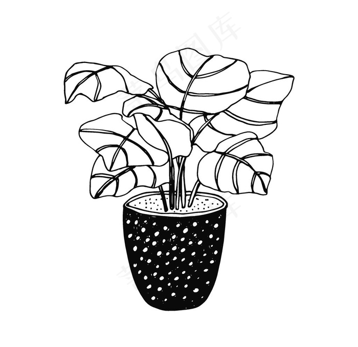 植物线稿图片ai矢量模版下载