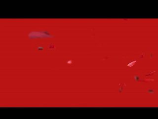 动态红色背景花瓣视频