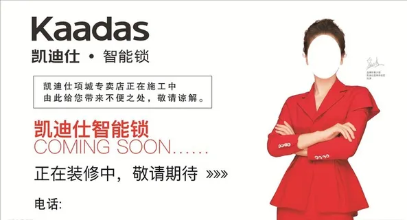凯迪仕海报图片