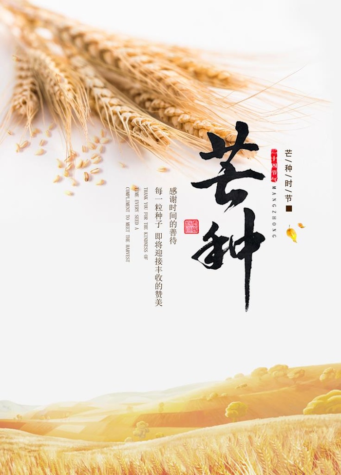芒种海报图片(3543x4724)psd模版下载