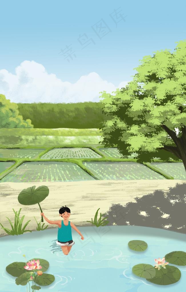 夏季稻田插画图片