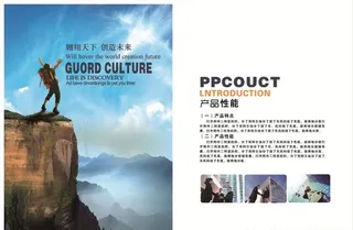 企业画册图册排版产品性能图片