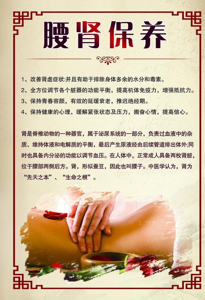 腰肾保养图片(3937x5512)psd模版下载