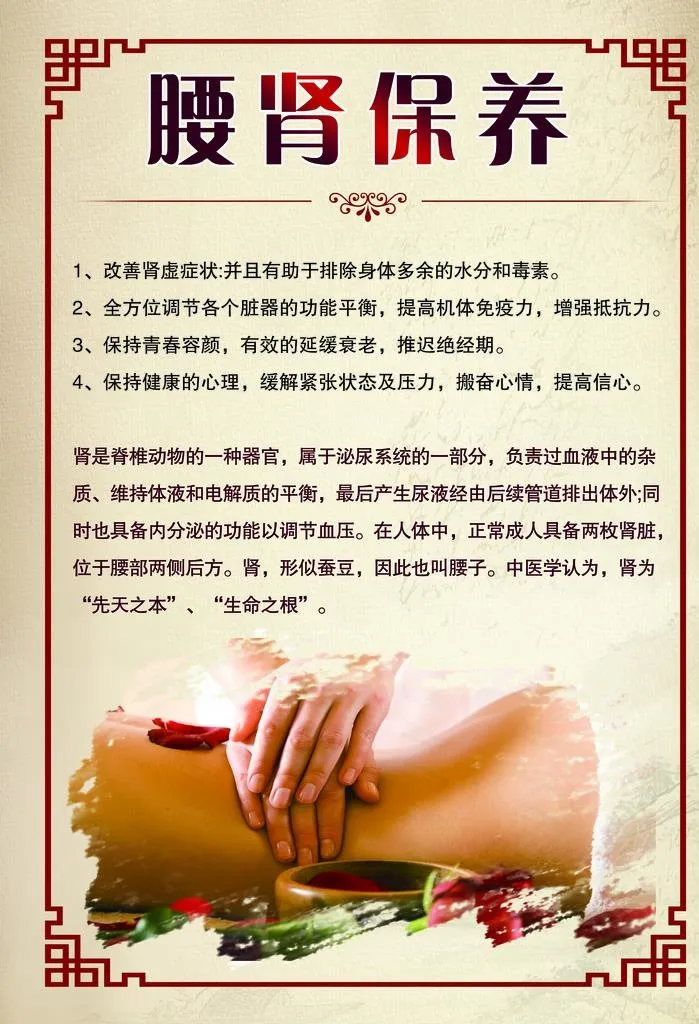 腰肾保养图片(3937x5512)psd模版下载