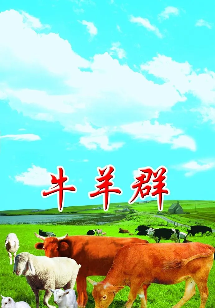 牛羊群图片(1961x2906)psd模版下载
