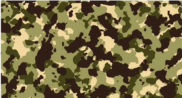 迷彩炫底图片 迷彩炫底图片