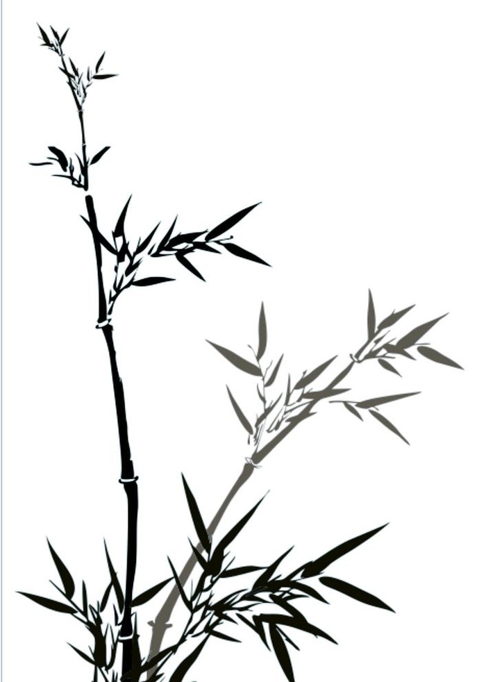 墨竹图片