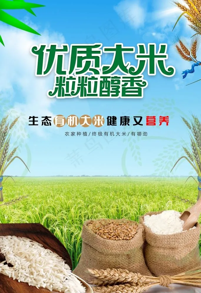 优质大米图片