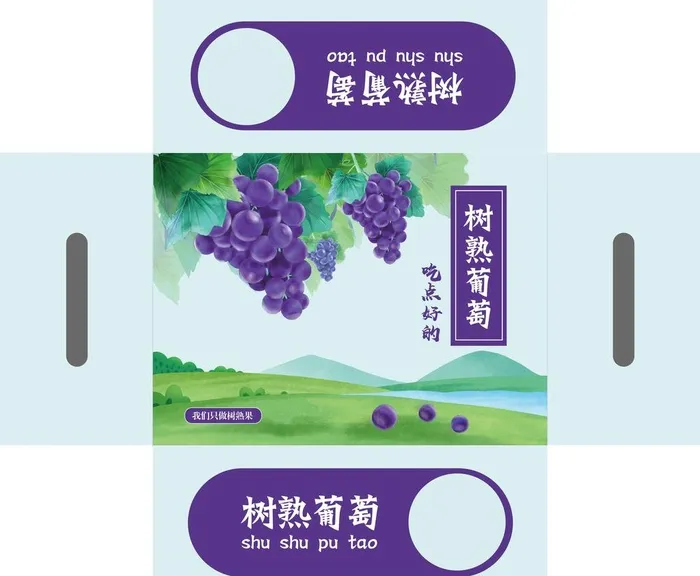 葡萄包装图片ai矢量模版下载