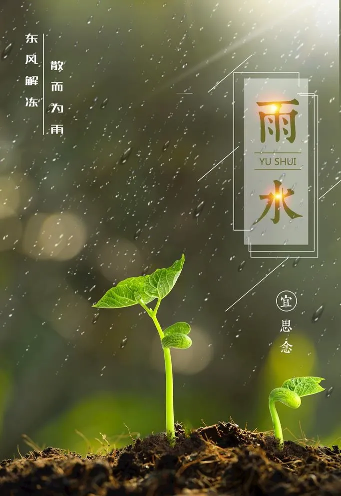 雨水图片(2362x3543)psd模版下载