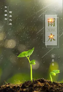 雨水图片 雨水图片