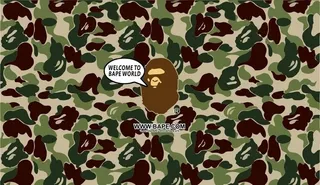 bape迷彩图片