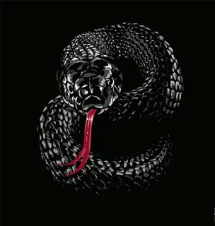 抽象蛇图案图片