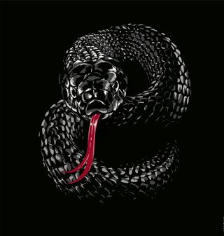 抽象蛇图案图片
