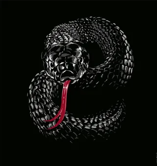 抽象蛇图案图片
