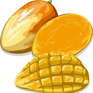 手绘矢量芒果图片