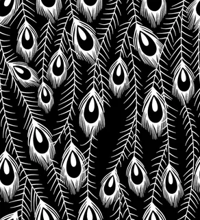 简约大牌黑白单色孔雀羽毛图片