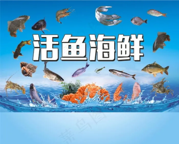 活鱼海鲜图片