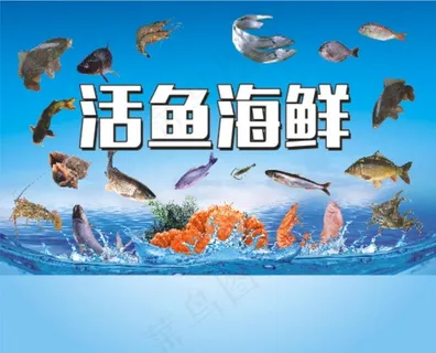 活鱼海鲜图片 活鱼海鲜图片