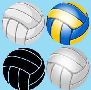 排球图片