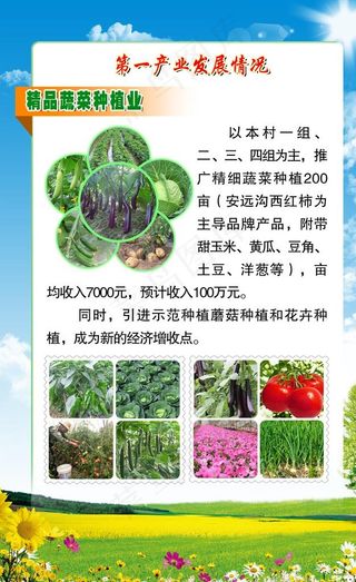 农副产品 精品蔬菜种植图片