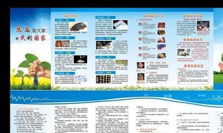 禁毒折页宣传单图片