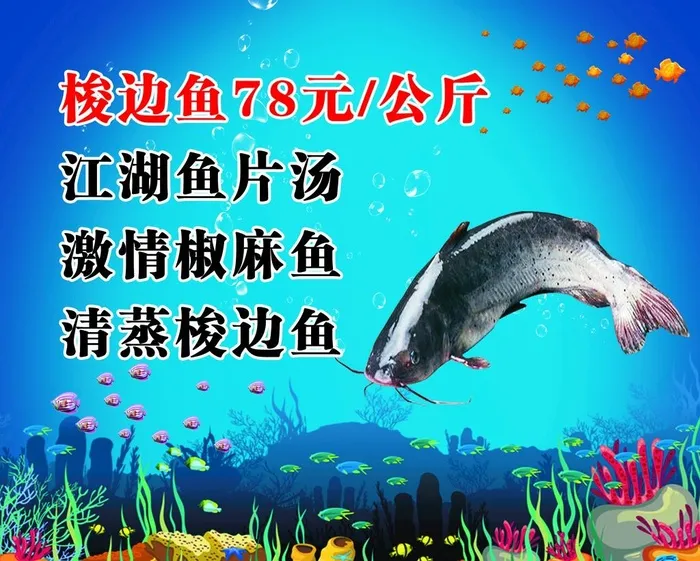 梭边鱼图片(1890x1575)psd模版下载