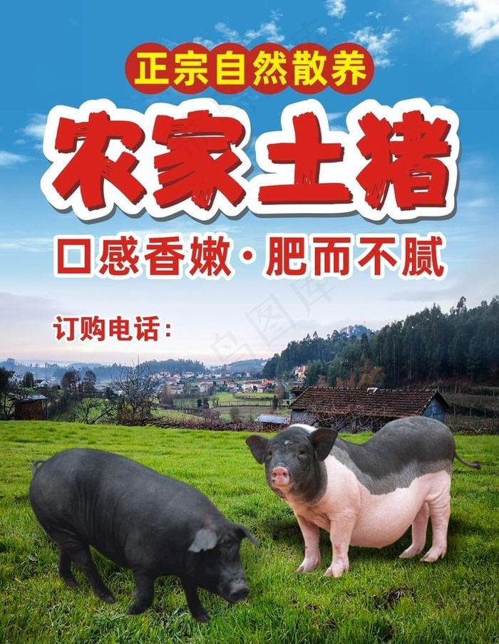 农家土猪图片cdr矢量模版下载