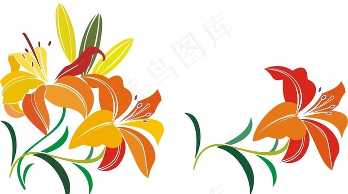 黄花菜矢量图图片cdr矢量模版下载