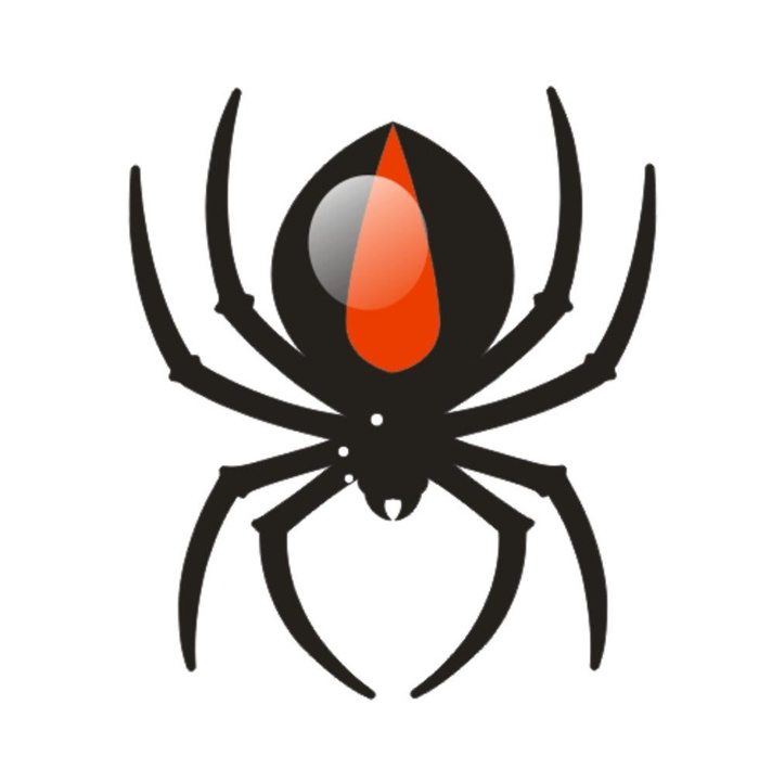 蜘蛛图片