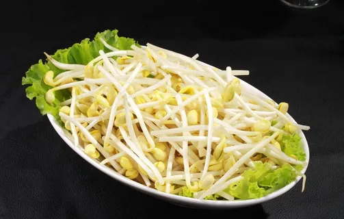 黄豆芽图片 黄豆芽图片