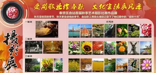 摄影展 展板图片