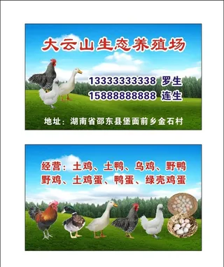 养殖名片图片