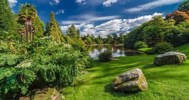 风景  树  蓝天 白云图片 风景  树  蓝天 白云图片