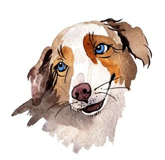 手绘水彩狗图片