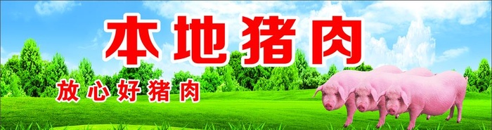 本地猪肉图片