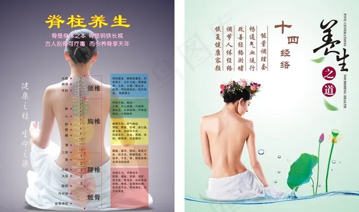 脊椎 养生图片cdr矢量模版下载