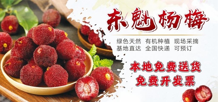 杨梅图片