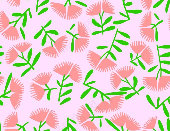 芙蓉花图片