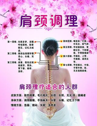 肩颈调理图片