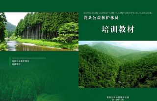 封皮封面图片