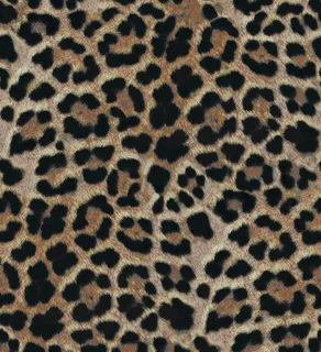 豹纹图片 豹纹图片