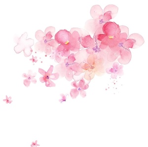 樱花  花瓣 粉色花 小清新 图片